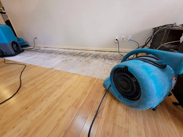 Professional Water Damage Repair technician working in Edison, GA